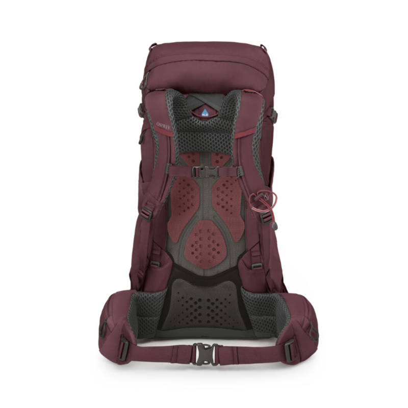 Osprey Women's Kyte 38 Backpack in Elderberry Purple -1